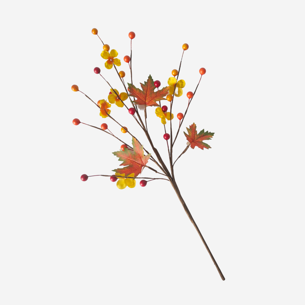 Red and Yellow