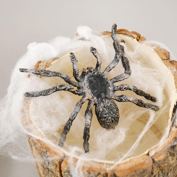 Realistic Plastic Spider Prank Toy - Halloween Party Decoration & Scary Joke Prop