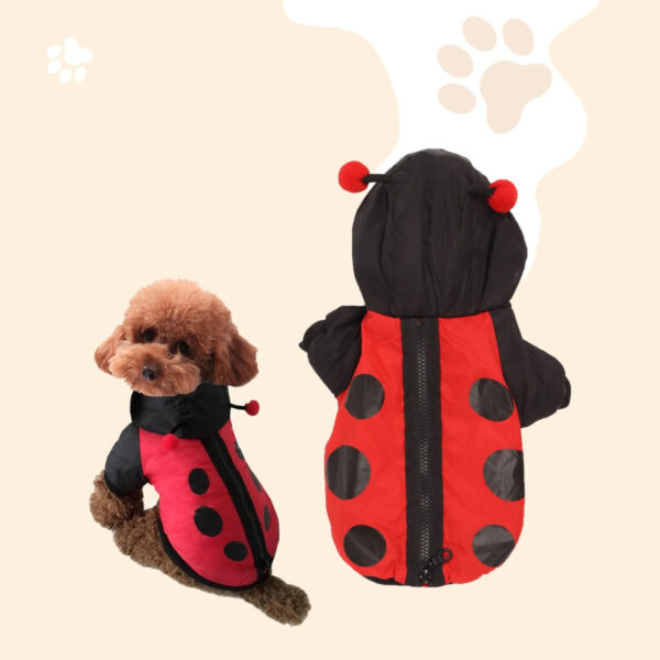 Cute Ladybug Design Hoodie for Small Dogs