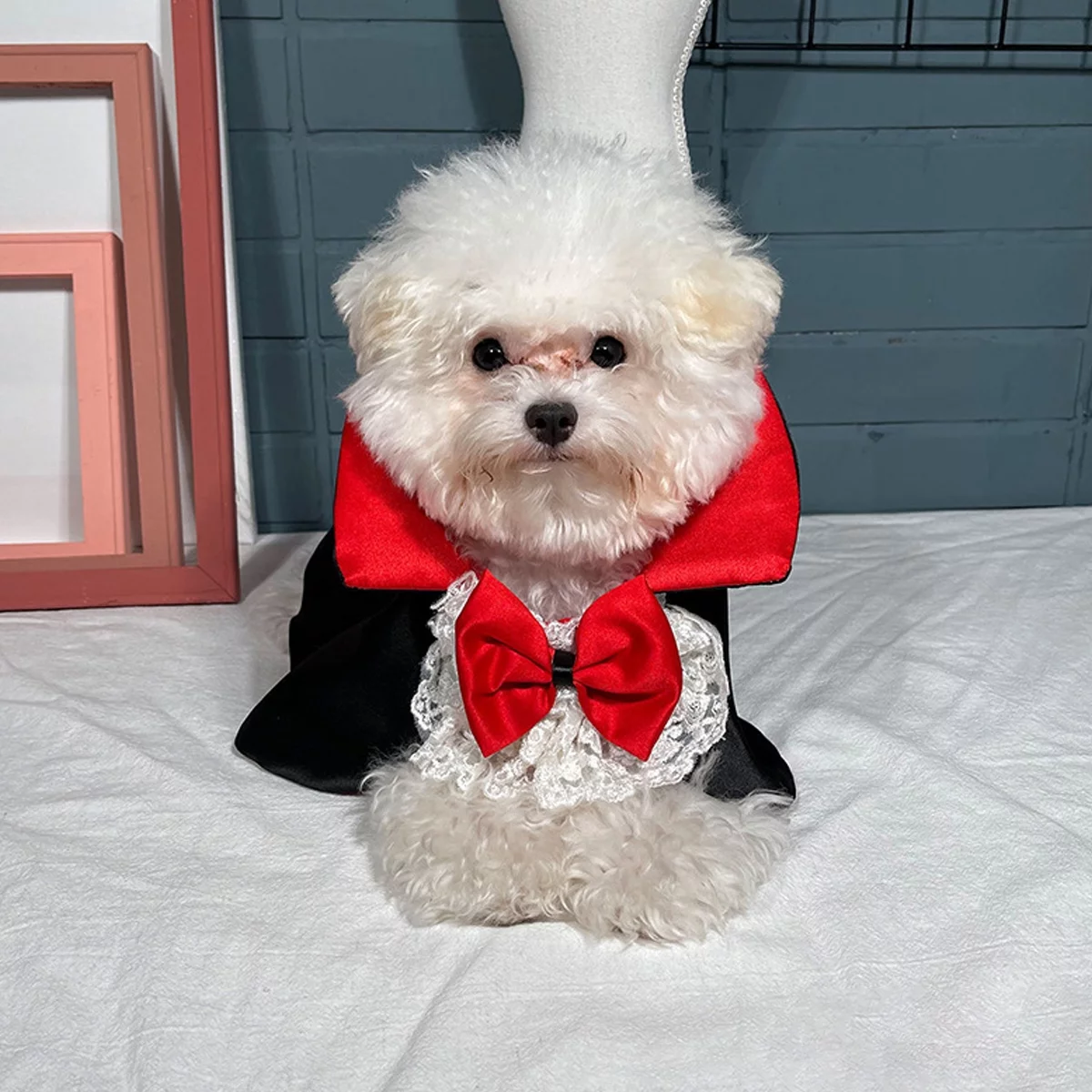 Pet Halloween Cosplay Vampire Cape for Dogs and Cats - Image 2