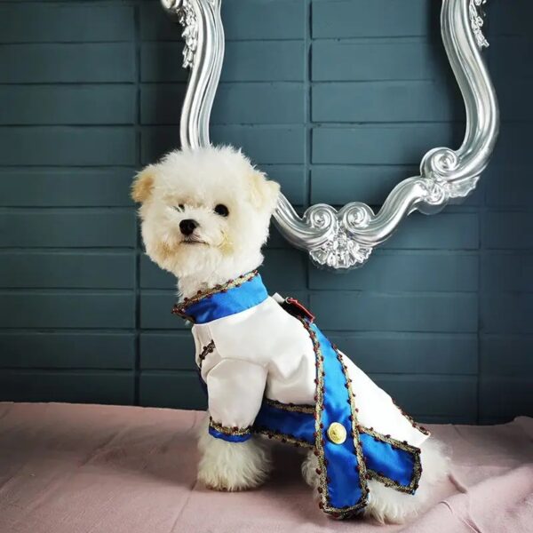 Adorable Handmade Sailor Uniform Costume for Cats & Small Dogs