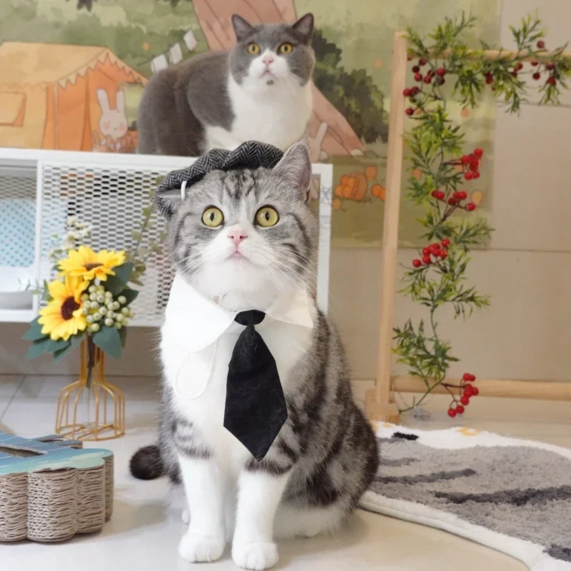 Funny Cat Gentleman's Hat and Tie Costume for Halloween - Image 3