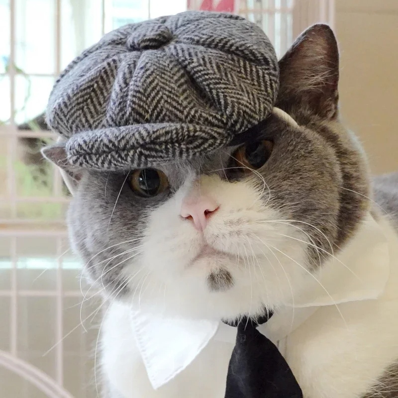 Funny Cat Gentleman's Hat and Tie Costume for Halloween - Image 4