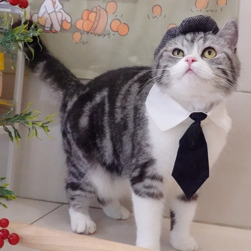 Funny Cat Gentleman's Hat and Tie Costume for Halloween - Image 2