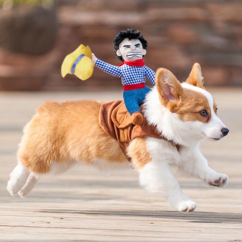 Halloween Dog Costume Cowboy Rider Knight Suit for Small and Medium Dogs