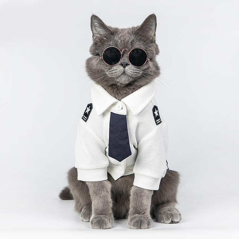 Pet Costume Outfit Funny Halloween Fancy Disguise for Dogs - Image 6