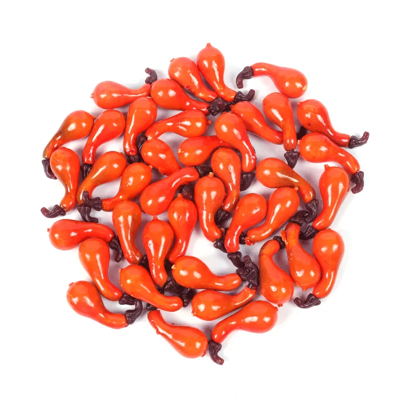10pcs Gourds