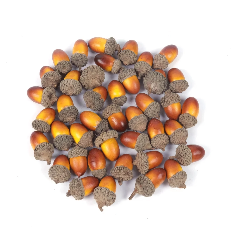 20pcs Yellow Acorn