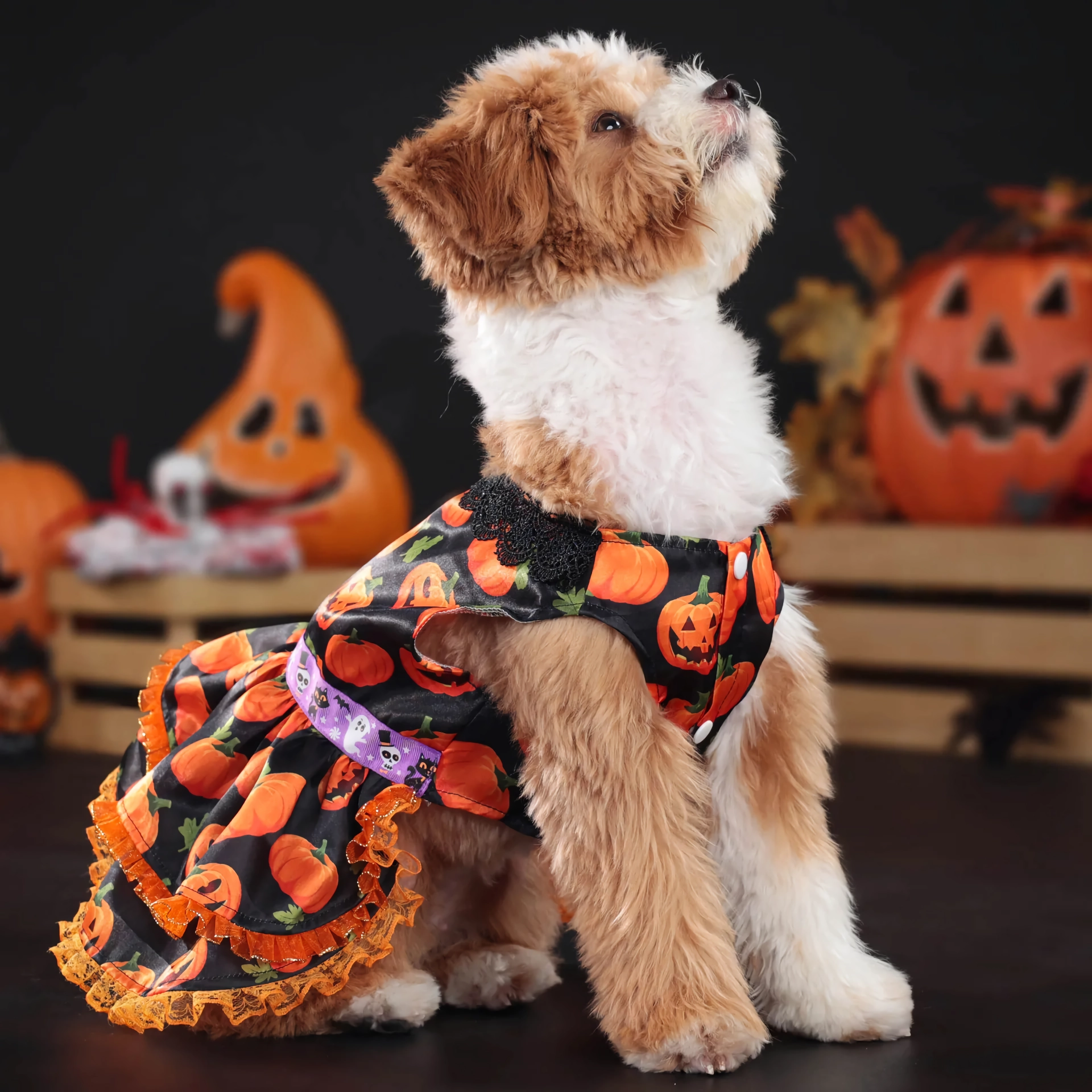 Halloween Pumpkin Dog Dress – Lace Skirt Costume for Small Dogs - Image 2