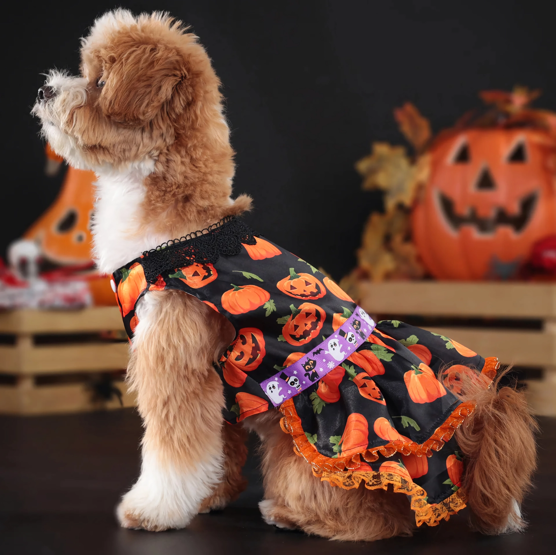 Halloween Pumpkin Dog Dress – Lace Skirt Costume for Small Dogs - Image 5