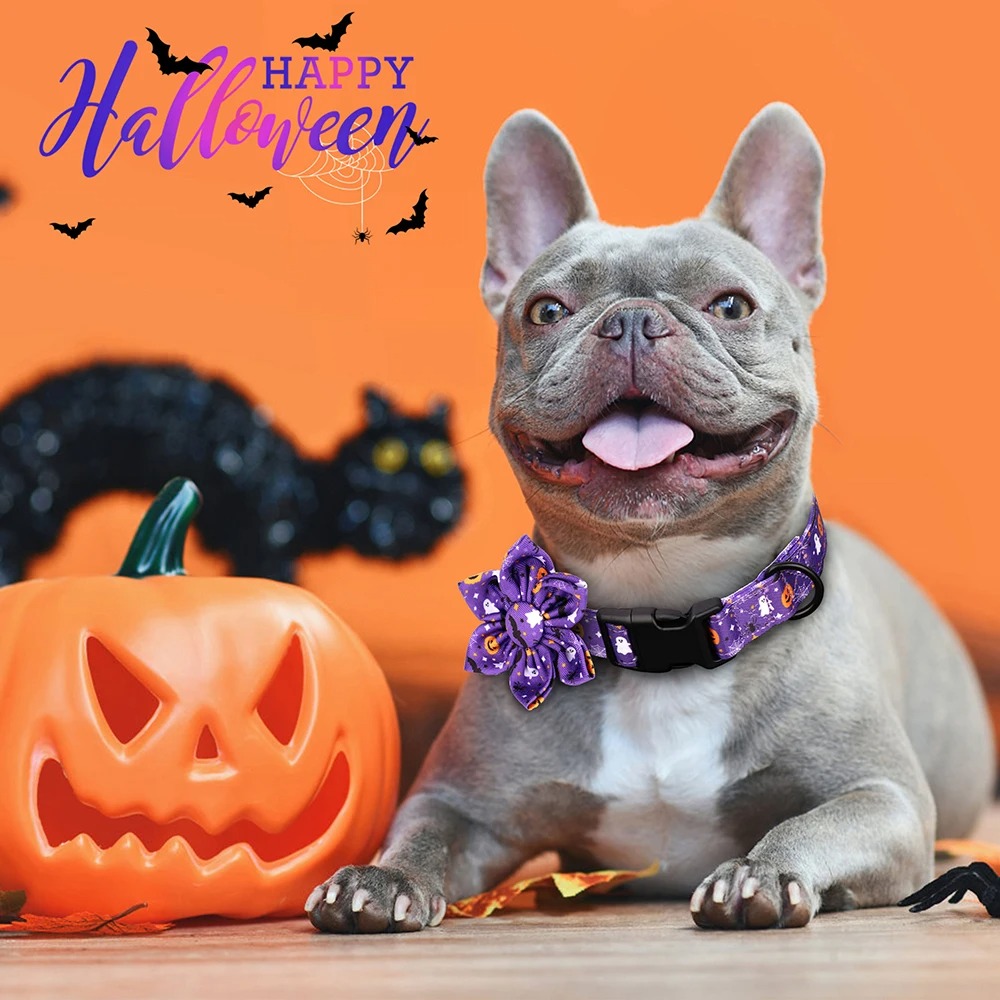Halloween Dog Collar - Image 3