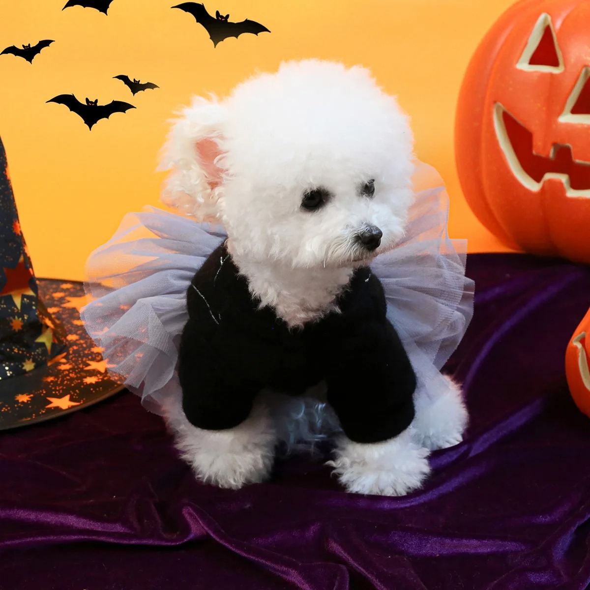 Pet Lamb Fleece Hoodie with Patchwork Yarn Skirt - Image 3