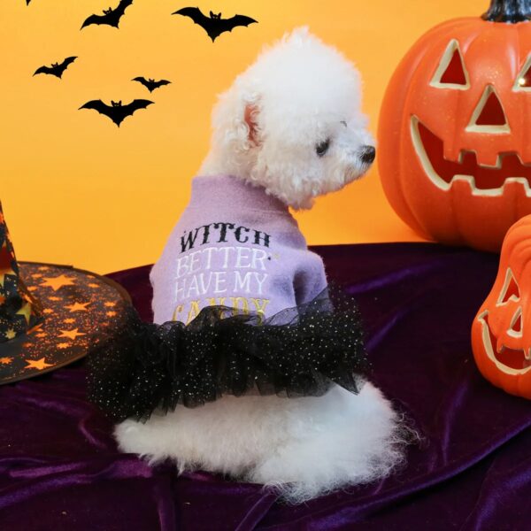 Pet Halloween Mesh Dress Hoodie