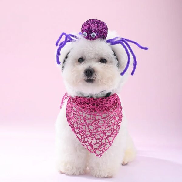 Halloween Pet Drool Bib & Spider Headband Set
