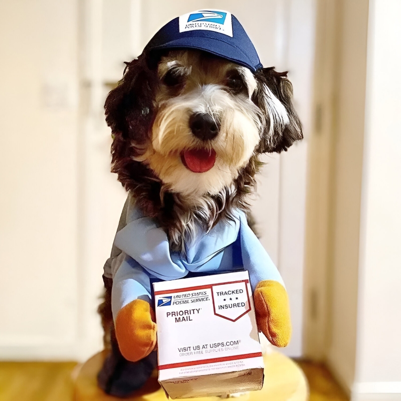 Halloween and Christmas Dog Mail Carrier Costume - Image 4