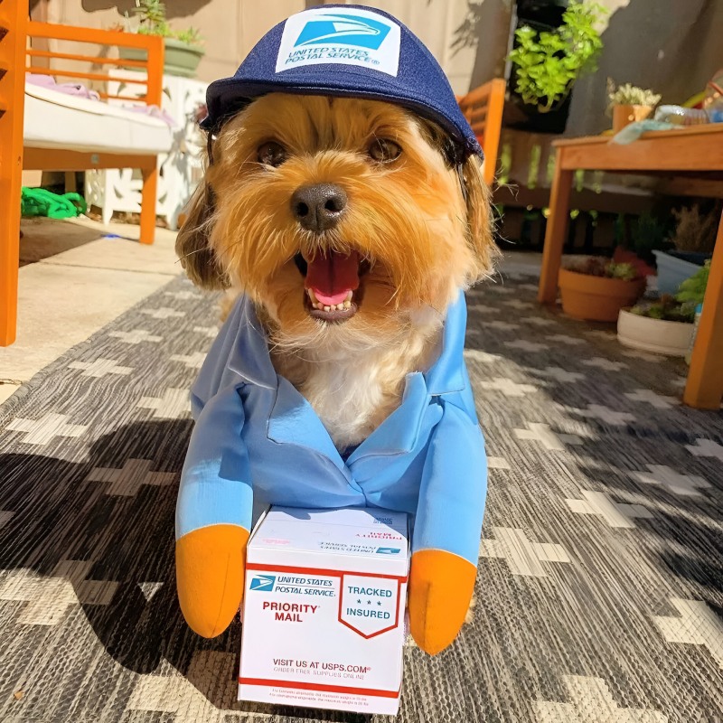 Halloween and Christmas Dog Mail Carrier Costume - Image 2
