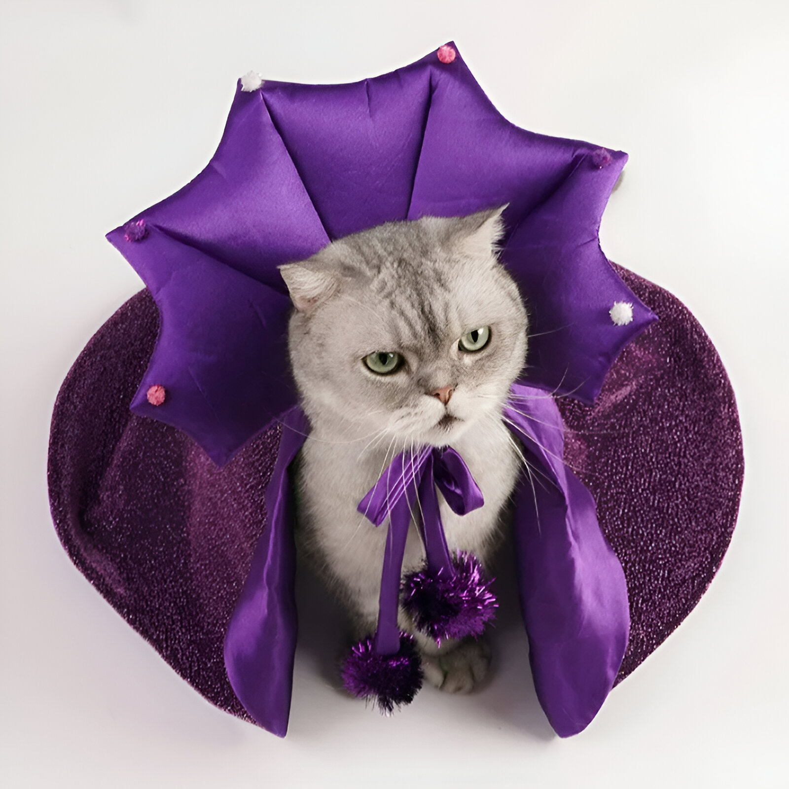 Funny Purple Witch Costume for Cats & Small Dogs – Cloak & Hat Set - Image 2