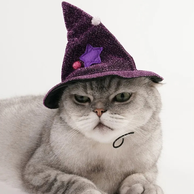 Funny Purple Witch Costume for Cats & Small Dogs – Cloak & Hat Set - Image 3
