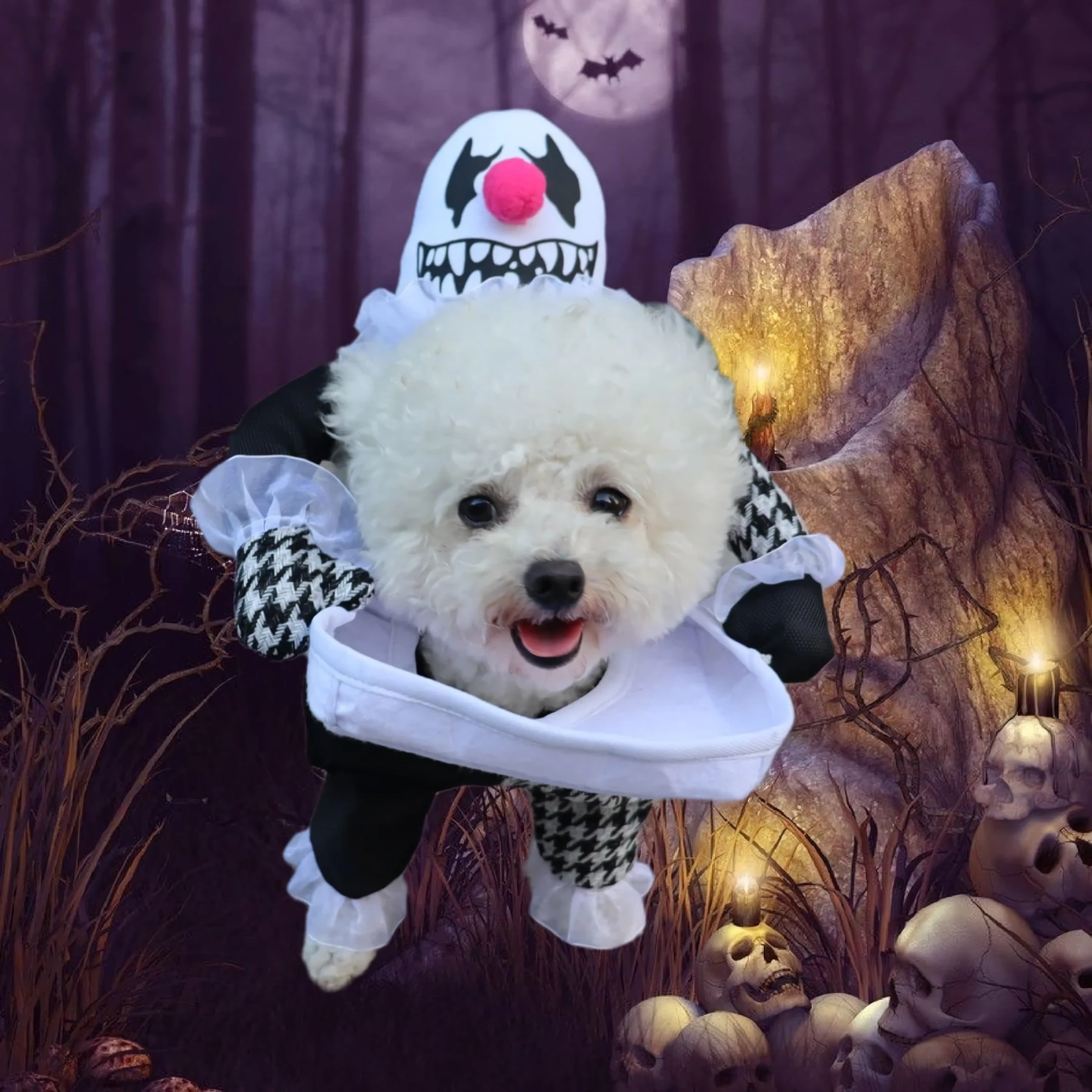Spooky Demon Dog Costume - Funny Head-on-Plate Outfit for Small to Large Dogs - Image 3