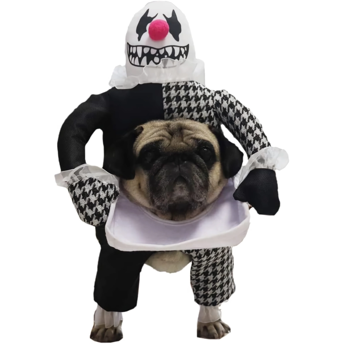 Spooky Demon Dog Costume - Funny Head-on-Plate Outfit for Small to Large Dogs - Image 7