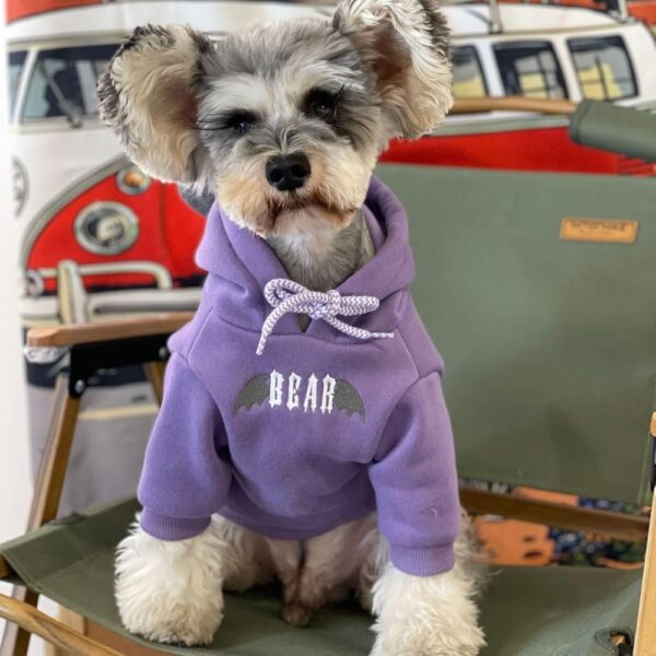 Cozy Fleece Dog Hoodie with Horns