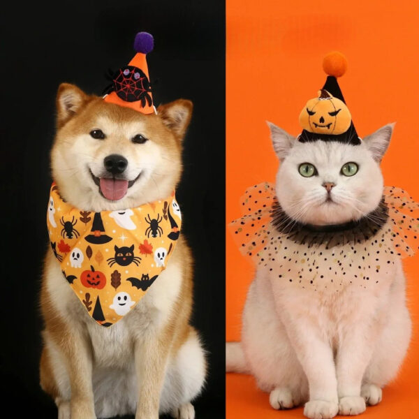 Pet Halloween Costume Set