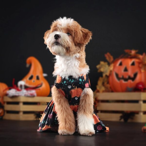 Charming Lace Halloween Costume Dress for Small Dogs