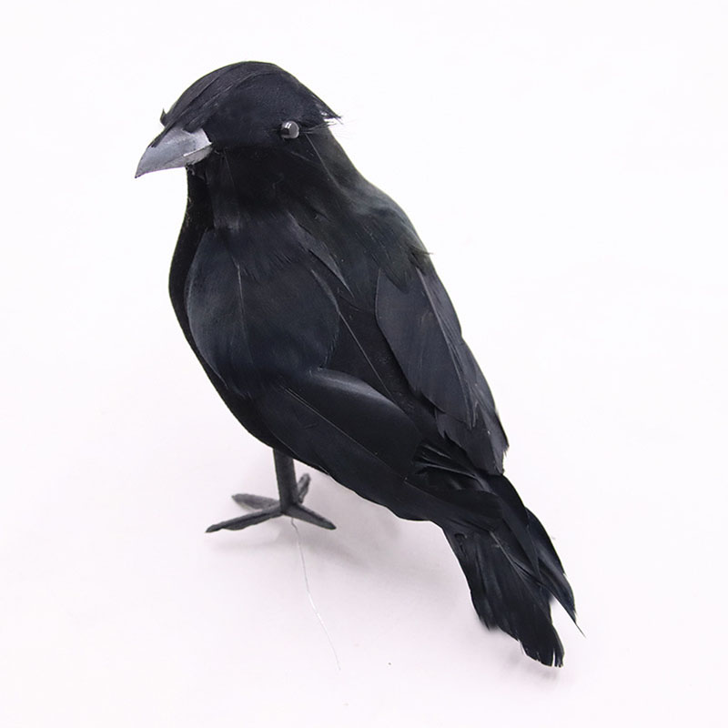 Crow 3/4