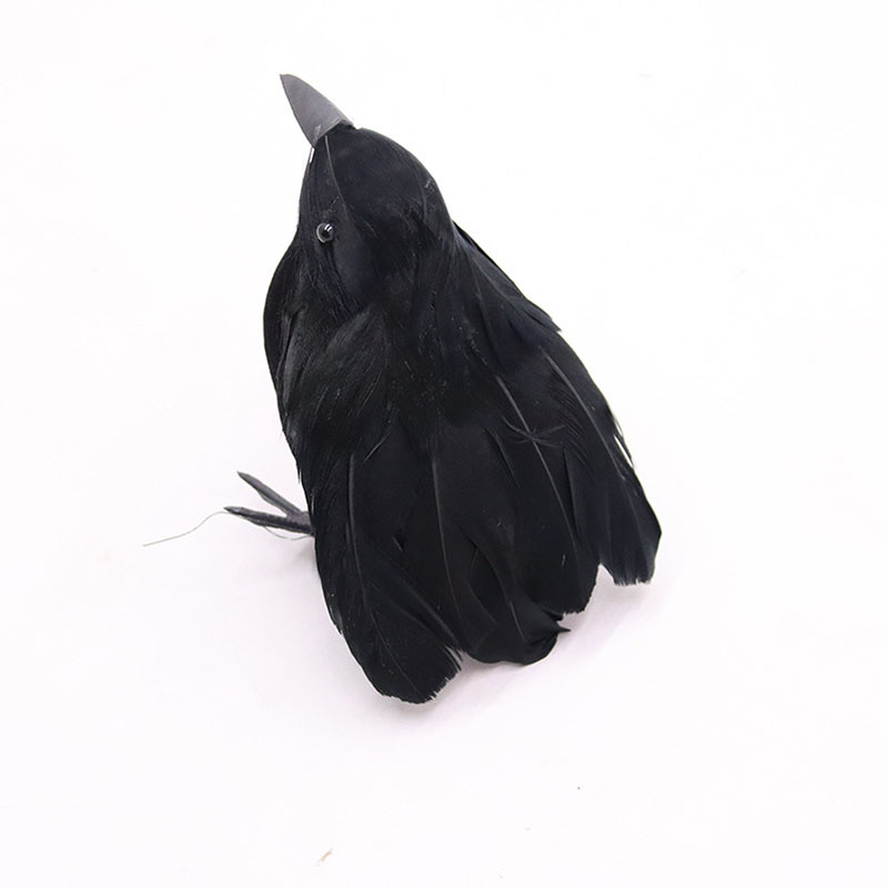 Crow Back