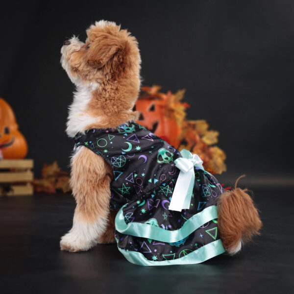 Fun Dog Halloween Costume