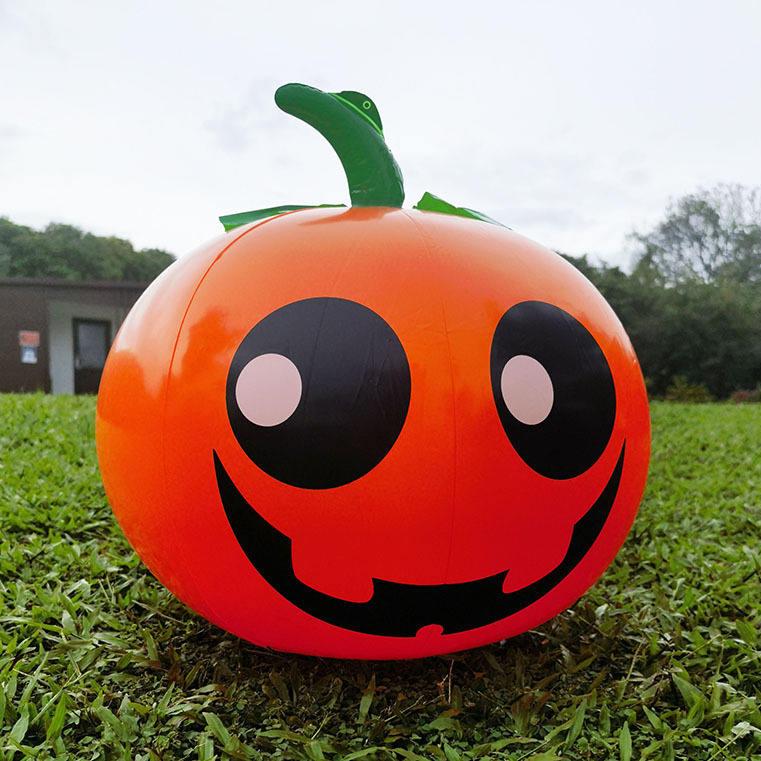 Pumpkin 2