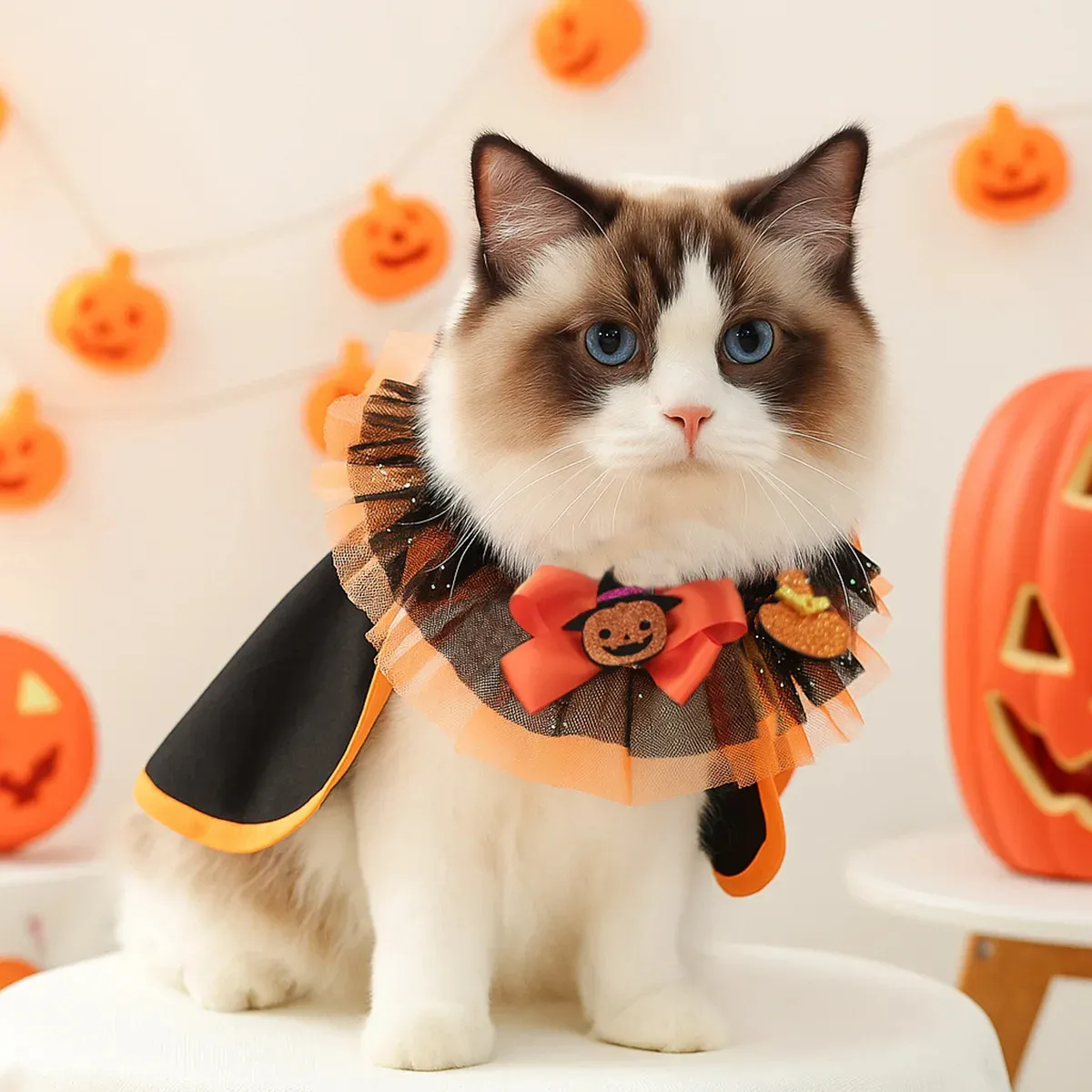 Halloween Lace Wizard Pumpkin Scarf Collar for Small Dogs & Cats - Image 2