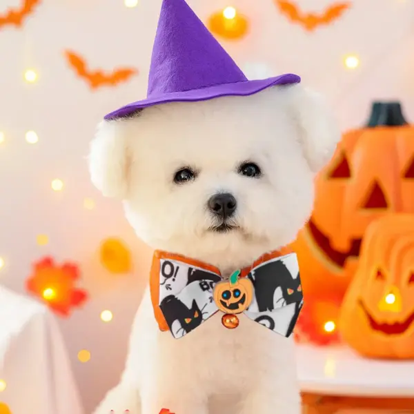 Halloween Glow-in-the-Dark Dog Collar with Bell – Pumpkin & Skull Design