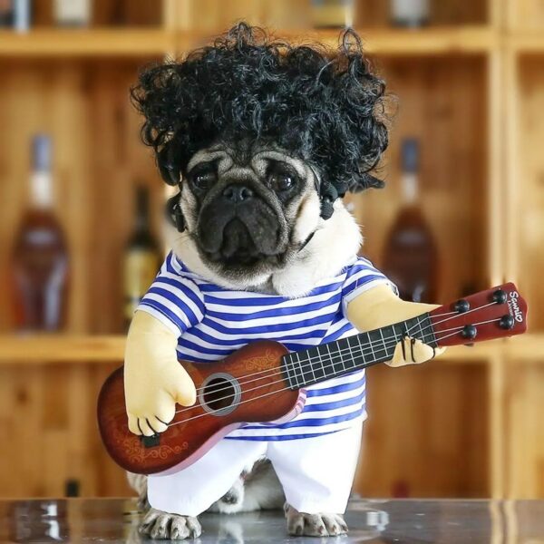 Funny Guitar Halloween Costume for Pets