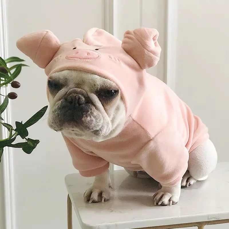 Pig