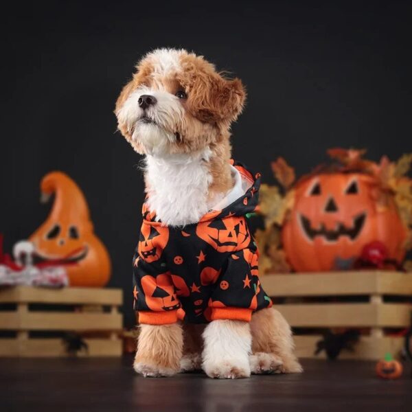 Halloween Pumpkin Hoodie for Dogs and Cats