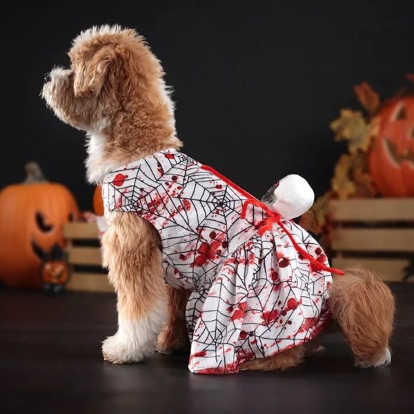 Spooky Spider Halloween Dog Costume