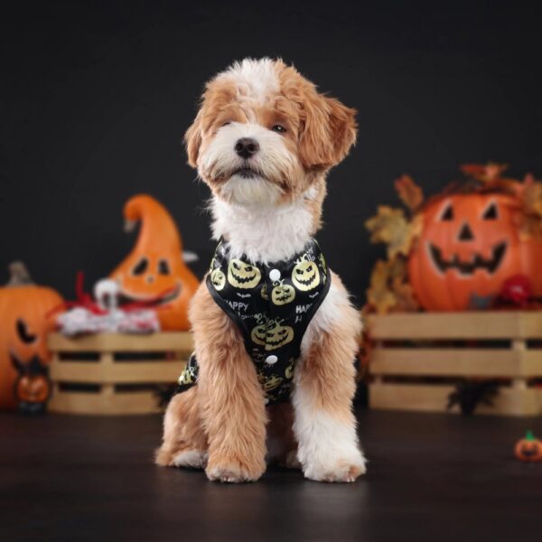 Adorable Dog Halloween Costume