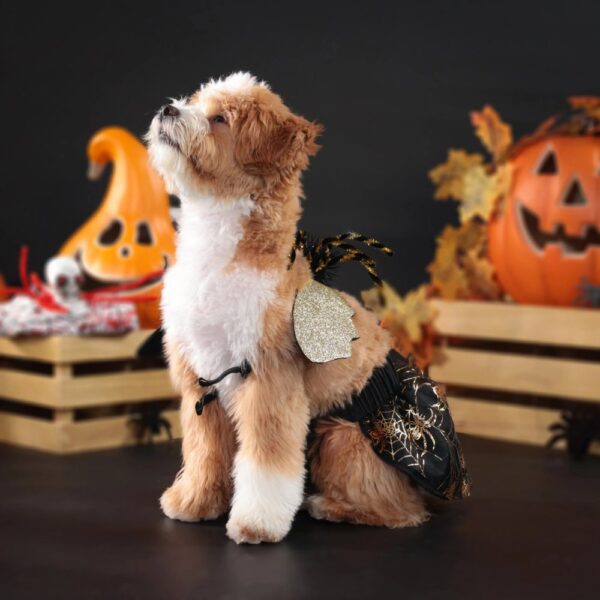 Halloween Spider Dog Costume Set