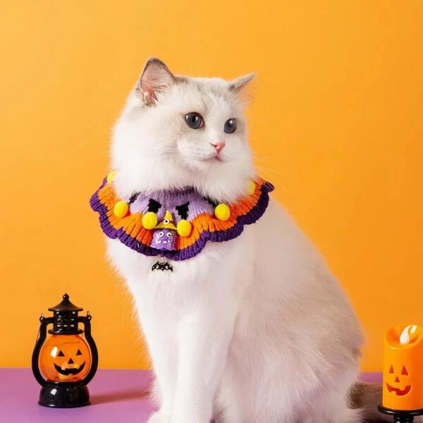 Halloween Cat Collar & Pumpkin Witch Costume
