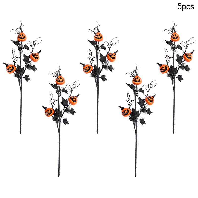 5Pcs