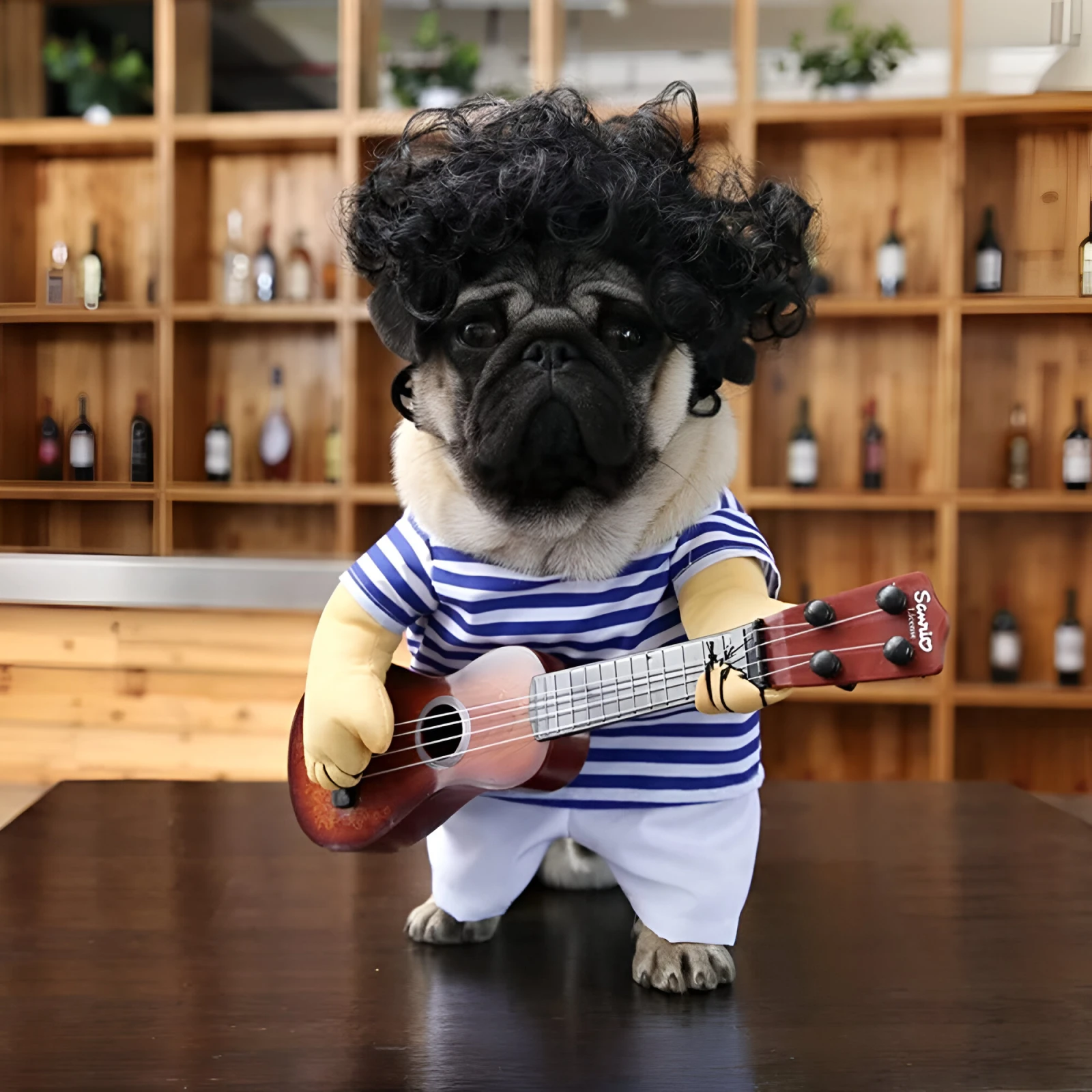 Funny Pet Guitar Costume for Dogs and Cats