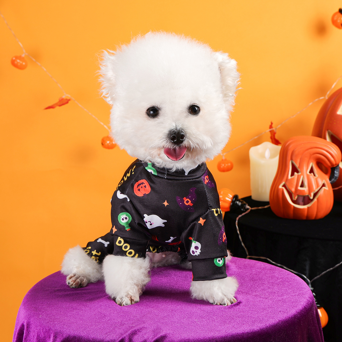 Halloween Black Puppy Jumpsuit – Cozy Anti-Shedding Dog Outfit - Image 4