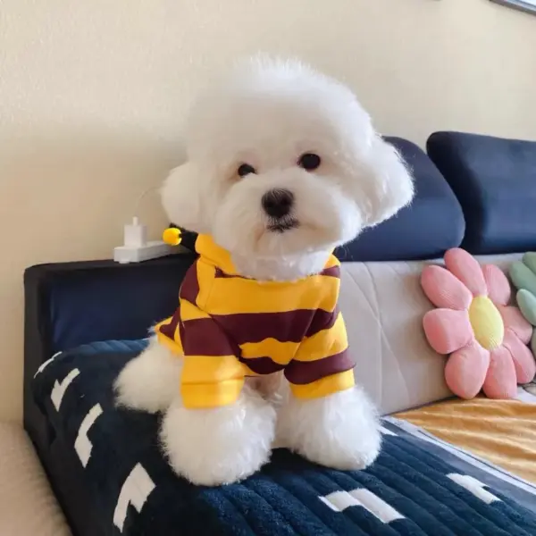 Warm Pet Hoodie – Cozy Autumn Costume for Small Dogs & Cats