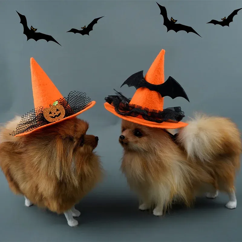 Halloween Pet Hat – Pumpkin, Spider & Bat Costumes for Dogs & Cats - Image 2