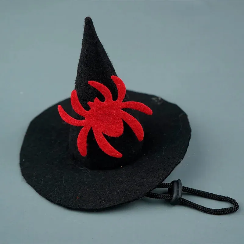 Halloween Pet Hat – Pumpkin, Spider & Bat Costumes for Dogs & Cats - Image 5