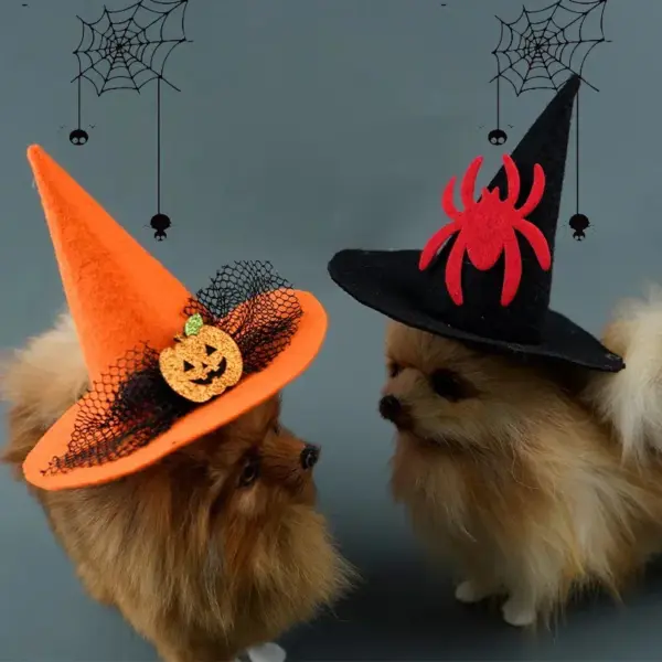 Halloween Pet Hat – Pumpkin, Spider & Bat Costumes for Dogs & Cats