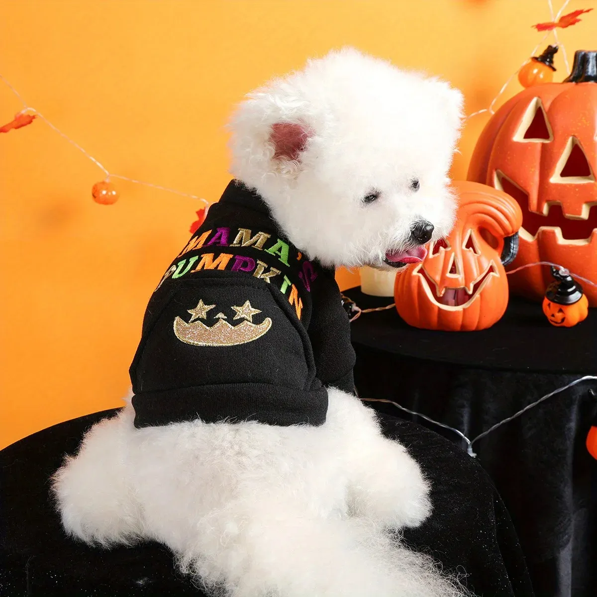 Halloween Pumpkin Pet Sweater – Funny Dog & Cat Jacket with Embroidery - Image 3