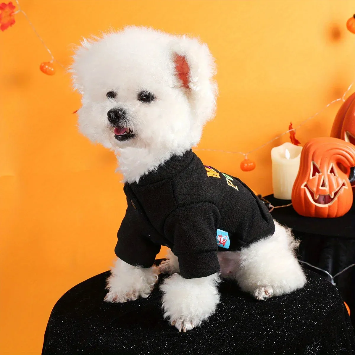 Halloween Pumpkin Pet Sweater – Funny Dog & Cat Jacket with Embroidery - Image 2