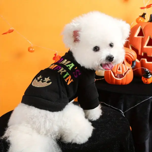 Halloween Pumpkin Pet Sweater – Funny Dog & Cat Jacket with Embroidery